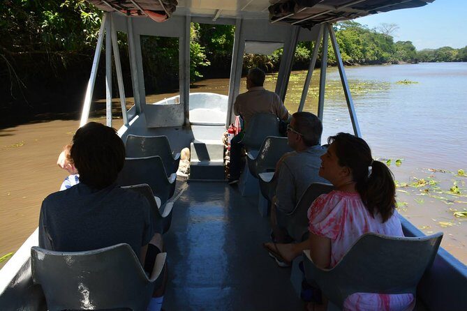 Palo verde Boat Tour from Playa Flamingo - The Wildlife and Natural Environment