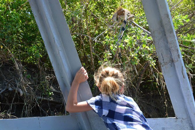 Palo verde Boat Tour from Playa Flamingo - Additional Activities and Optional Demos