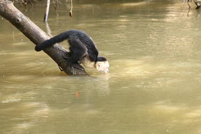Palo Verde Boat Tours, Ortega - An In-Depth Look at Palo Verde Boat Tours