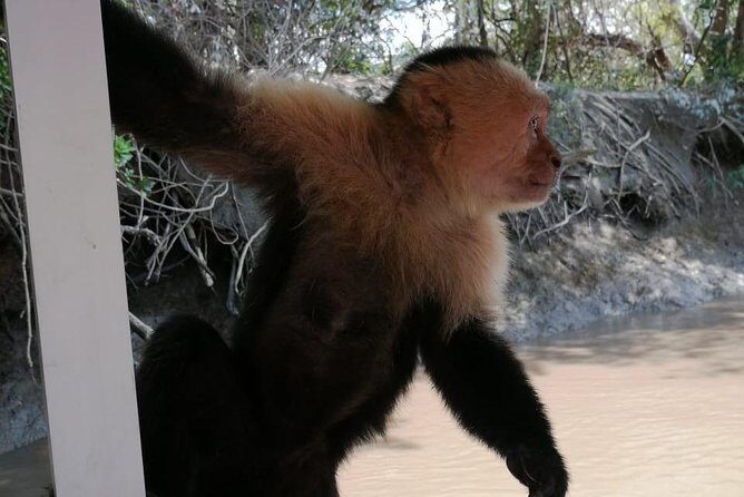 Palo Verde National Park boat and wildlife tour one day tour - Final Thoughts