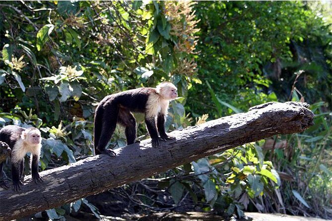 Palo Verde National Park - Experience the Natural Wonders of Palo Verde National Park