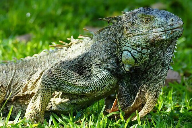 Palo Verde National Park Safari Boat Tour - The Itinerary in Detail