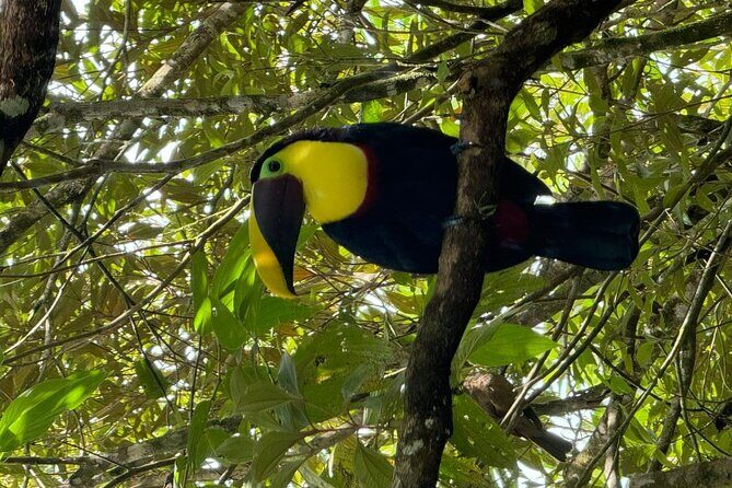 Palo Verde National Park Safari Boat Tour - Practical Tips for Travelers
