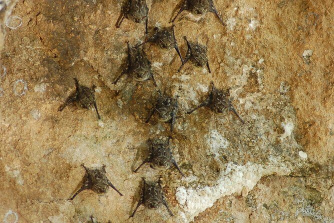 Palo verde National Park Safari & Ceramic Pottery Cultural demo - Key Points