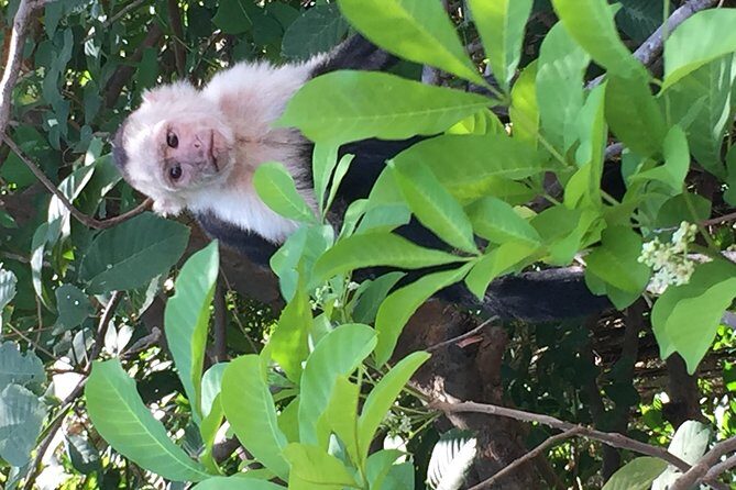 Palo verde National Park Safari & Ceramic Pottery Cultural demo - An In-Depth Look at the Tour Experience