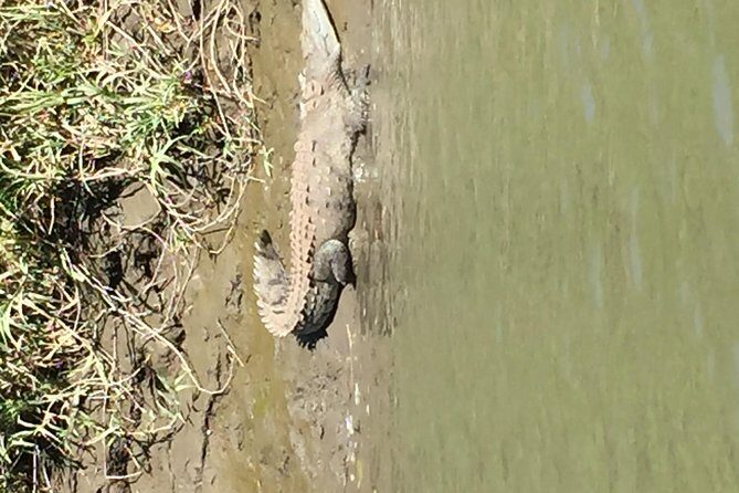 Palo verde National Park Safari & Ceramic Pottery Cultural demo - Frequently Asked Questions