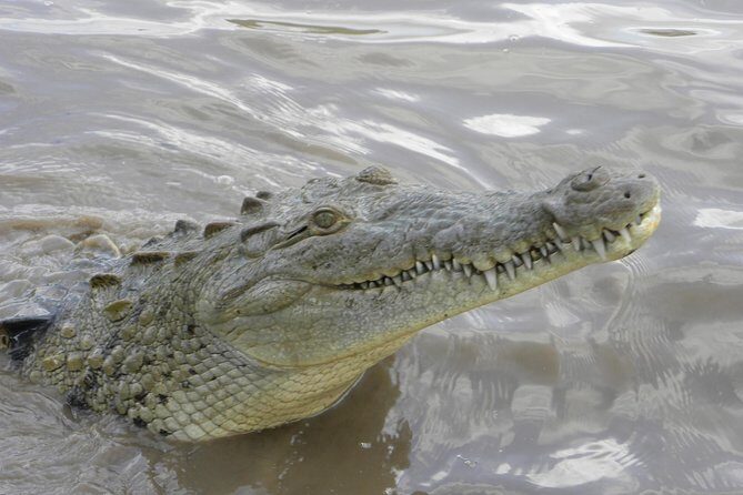 Palo Verde Riverboat Tour - Key Points