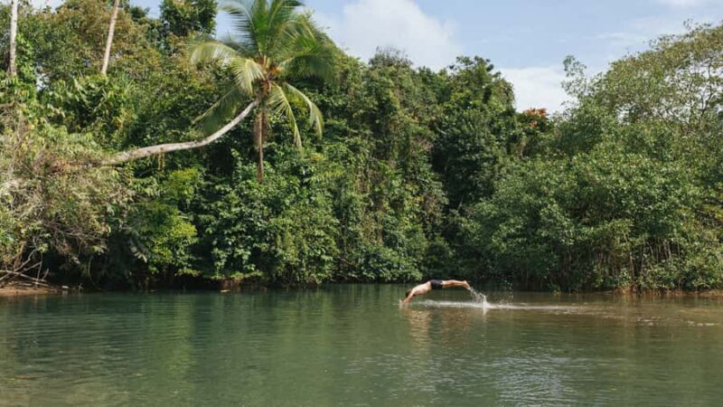 Palomino: Hiking Tour of Valencia Waterfalls with Transfers - Why This Tour Stands Out