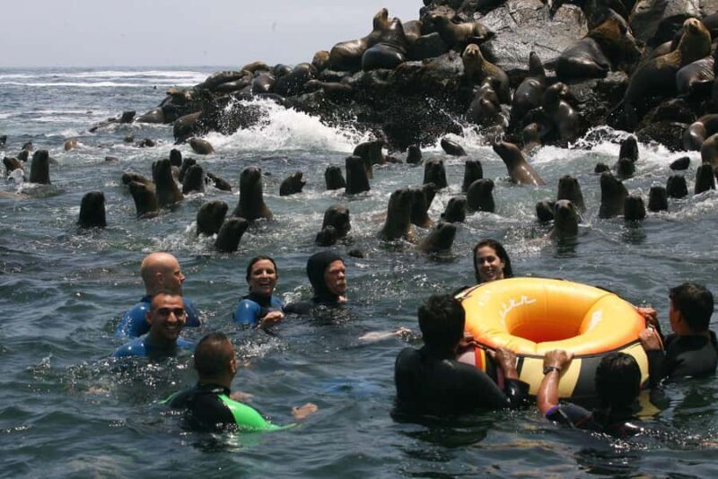 Palomino Islands Boat Tour with Sea Lions - Who Should Book This Experience?