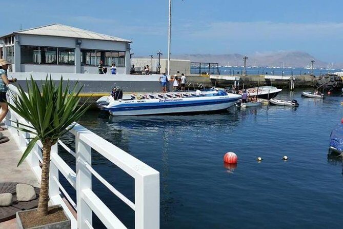 Palomino Islands Sea Lion Swimming Tour - Palomino Islands Sea Lion Swimming Tour: An Honest Look at an Oceanic Adventure