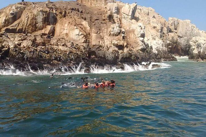 Palomino Islands Sea Lion Swimming Tour - The Sum Up