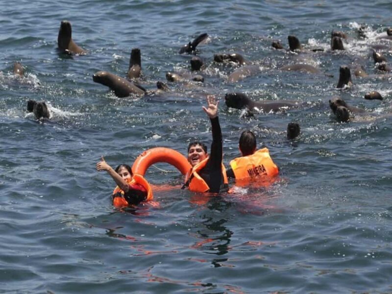 Palomino Islands: Speedboat and Sea Lion Swim - The Value of the Tour: What You’re Really Getting