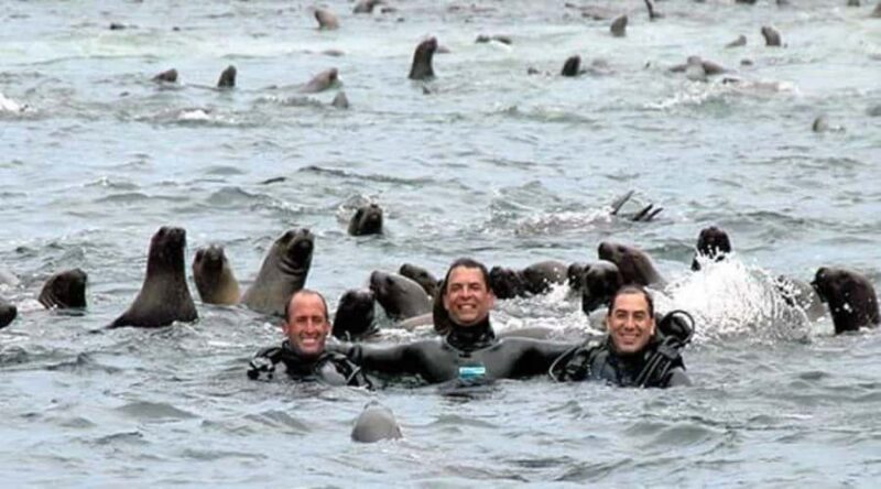 Palomino Islands: Speedboat and Sea Lion Swim - Who Should Consider This Tour?