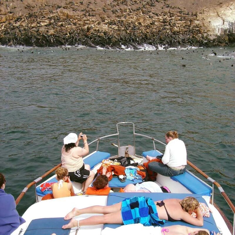Palomino Islands Yacht Tour and swim alongside the sea lions - Value and Overall Impression