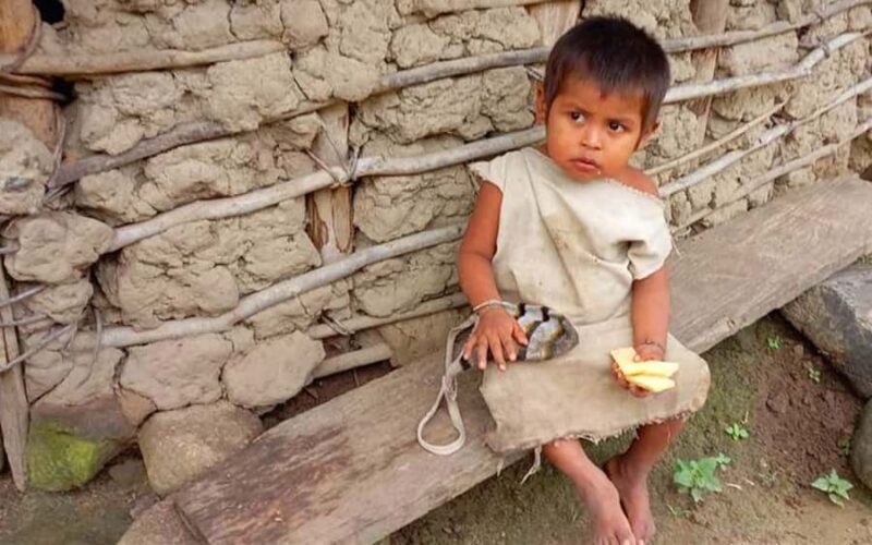 Palomino: Private Tour to Tungueka Indigenous Village - Final Thoughts