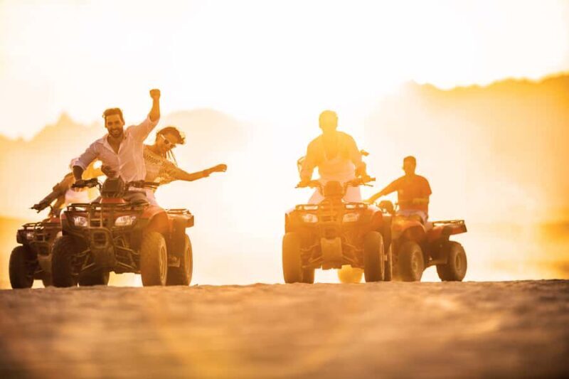 Palomino Quad Bike Tour - An In-Depth Look at the Palomino Quad Bike Tour