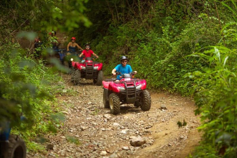 Palomino Quad Bike Tour - The Sum Up