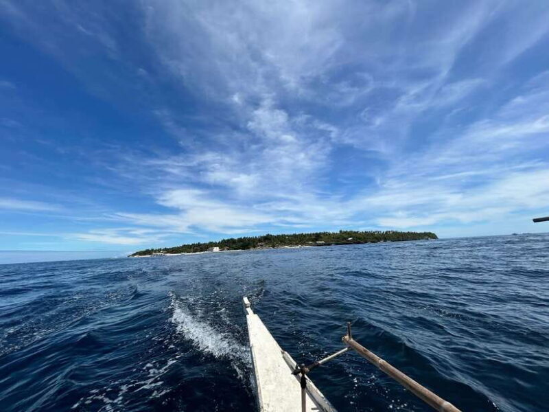 Pamilacan island: Dolphins, snorkel, lunch and walking tour - Who Will Love This Tour?