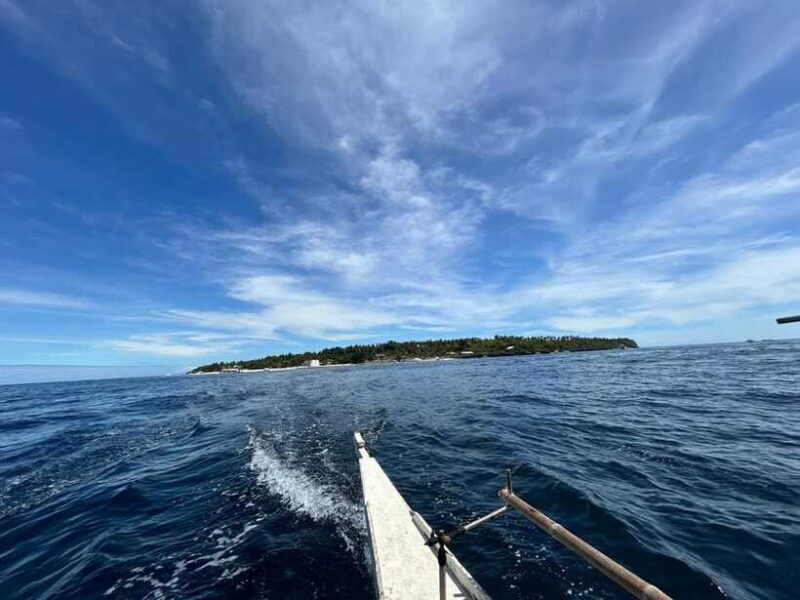 Pamilacan island: Dolphins, snorkel, lunch and walking tour - Practical Considerations