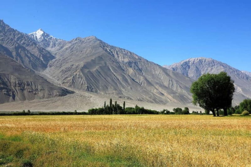 Pamir Highway Adventure from Osh to Dushanbe - Exploring the Itinerary: What You Can Expect