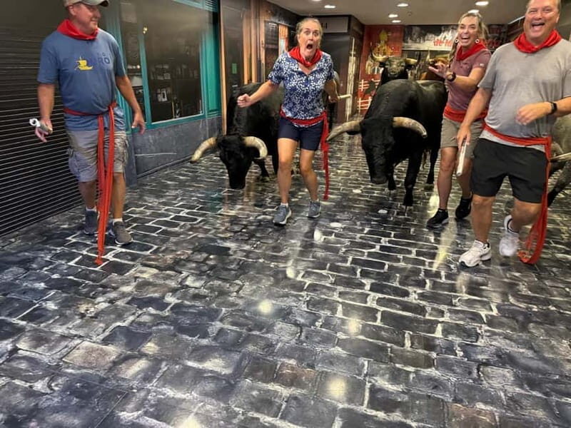 Pamplona: Walking Tour and Photo Session with Bulls - The Guide and Experience Quality