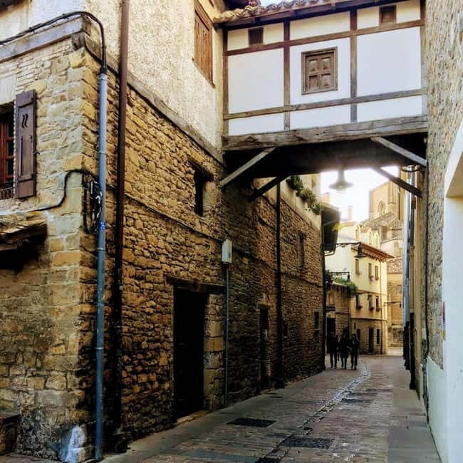 Pamplona: Walking Tour and Photo Session with Bulls - Practical Details and Value