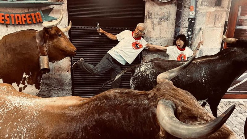 Pamplona: Walking Tour and Photo Session with Bulls - Final Thoughts