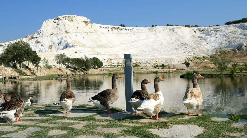 Pamukkale and Hierapolis: Full-Day Private or Group Tour - Final Thoughts: Is It Worth It?