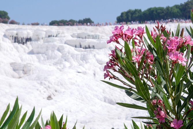 Pamukkale Day Tour from Selcuk - In-Depth Breakdown of the Tour