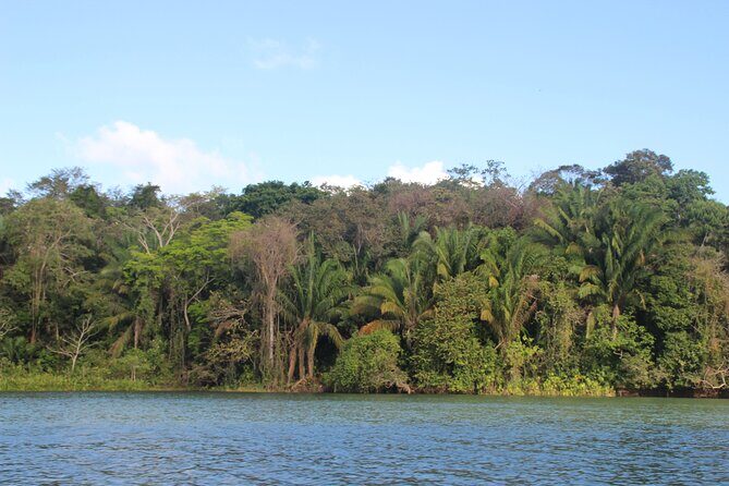 Panama Canal Jungle Boat Explorer Private Tour - Practical Details: Price, Duration, and Booking
