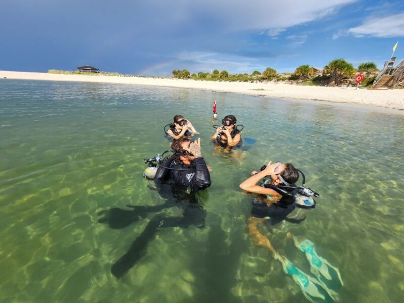 Panama City Beach: Beginners Scuba Diving Tour - A Detailed Look at the Panama City Beach Beginner Scuba Tour