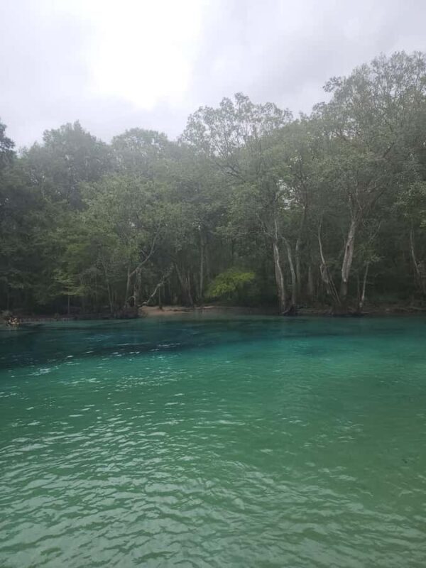 Panama City Beach: Cypress Springs Clear Kayak & Paddle Tour - What Makes This Tour Stand Out?