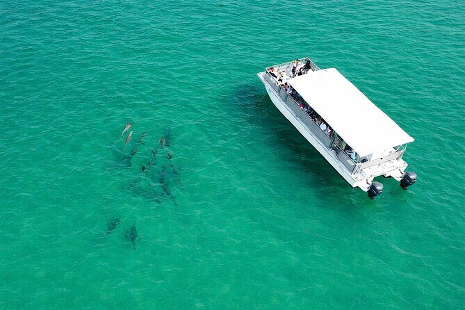 Panama City Beach Dolphin Cruise - Practical Tips for Your Dolphin Cruise