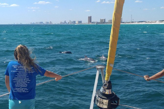 Panama City Beach Dolphin Sightseeing Sail - A Water-Based Escape with Authentic Charm