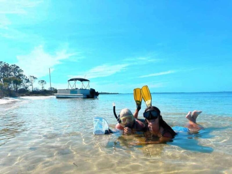 Panama City Beach: Dolphin Watching and Snorkeling Tour - What’s Included and What to Bring