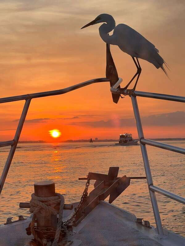 Panama City Beach: Private Sunset Cruise - Final Thoughts: Who Should Book This Cruise?