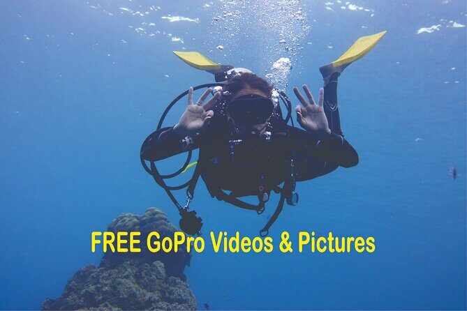 Panama City Scuba Diving Activity for Beginners - Key Points