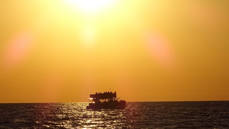Panama City: Sunset Dolphin Cruise in St. Andrews Bay - The Experience in Detail