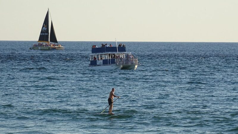 Panama City: Sunset Dolphin Cruise in St. Andrews Bay - Final Thoughts