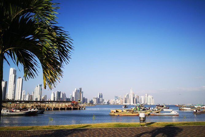 Panama City Tour and Panama Canal  Miraflores Locks Experience - A Well-Balanced Itinerary