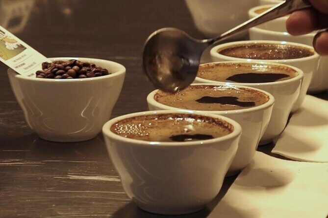 Panama Crafted Geisha Coffee Tasting Experience - FAQ: Quick Questions About the Tour