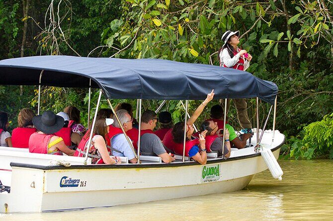 Panama Eco Adventure: Gatun Lake, Aerial Tram & Sloth Sanctuary - Final Thoughts