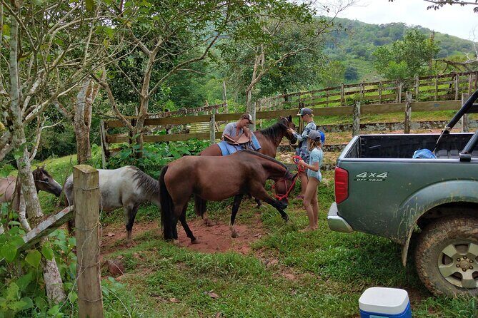 Panamá's Farming Region on horseback - Panamas Farming Region on Horseback: A Detailed Review