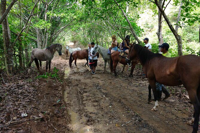Panamá's Farming Region on horseback - Who Will Love This Tour?