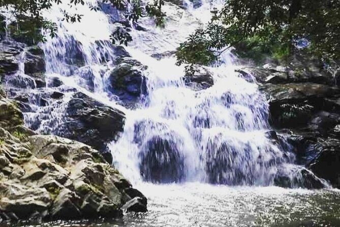 Panamá's Farming Region on horseback - The Sum Up