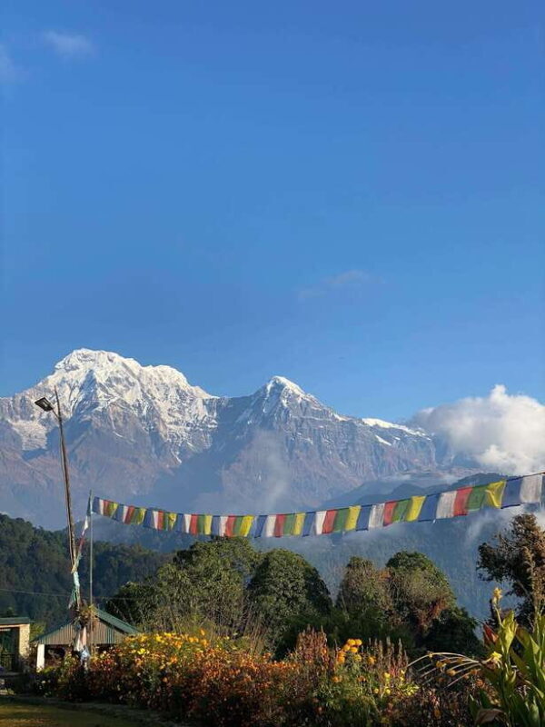 Panchase: Yoga Excursion - A Detailed Look at the Panchase Yoga Excursion