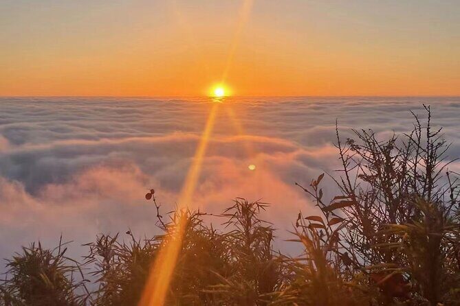 Panda, Leshan, and Emei Mountain 2-day tour - Key Points