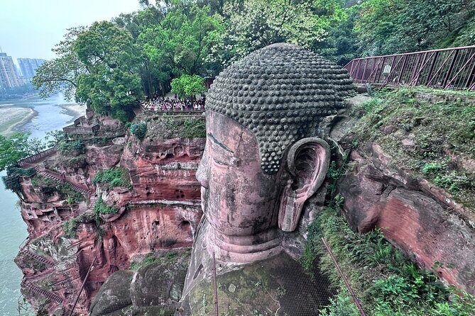 Panda, Leshan, and Emei Mountain 2-day tour - What’s Included and What’s Not