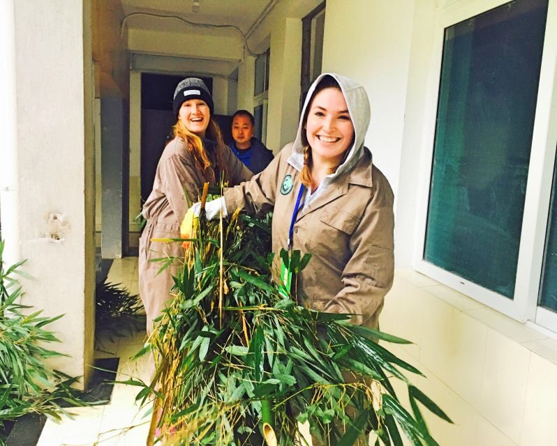 Panda Volunteer Project Day Trip(Wolong/Du Jiang Yan) - The Value of the Panda Volunteer Experience