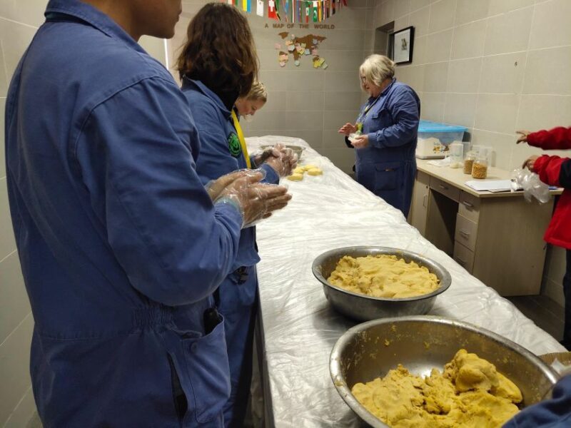 Panda Volunteer Project Day Trip(Wolong/Du Jiang Yan) - Final Thoughts: Is It Worth It?